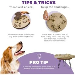 Nina Ottosson By Outward Hound Hide N' Slide Puzzle Game Dog Toy -Blue Buffalos Shop 159428 PT3. AC SS1800 V1694287373