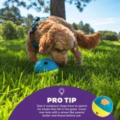 Nina Ottosson By Outward Hound Treat Tumble Puzzle Game Dog Toy -Blue Buffalos Shop 159436 PT3. AC SS1800 V1694287367