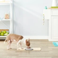 Frisco Non-Skid Stainless Steel Bowl 9 Frisco Non-Skid Stainless Steel Bowl -Blue Buffalos Shop 159860 PT3. AC SS1800 V1570543131