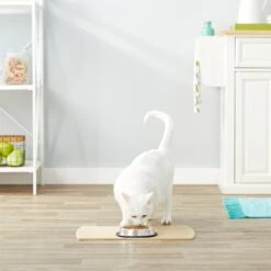 Frisco Non-Skid Stainless Steel Bowl 10 Frisco Non-Skid Stainless Steel Bowl -Blue Buffalos Shop 159860 PT4. AC SS1800 V1570543031