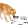 Frisco Pyramid Elevated Stainless Steel Double Diner Dog & Cat Bowl -Blue Buffalos Shop 159884 MAIN. AC SS1800 V1583424776