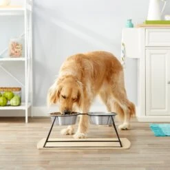 Frisco Pyramid Elevated Stainless Steel Double Diner Dog & Cat Bowl -Blue Buffalos Shop 159884 PT3. AC SS1800 V1561123346