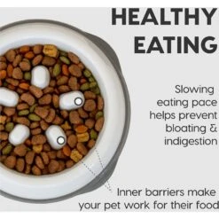 IRIS USA Non-Slip Rubber Slow Feeder With Raised Bumps Dog & Cat Bowl -Blue Buffalos Shop 159938 PT3. AC SS1800 V1550598712