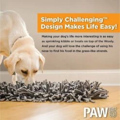 PAW5 Wooly Snuffle Dog Feeding Mat 18 PAW5 Wooly Snuffle Dog Feeding Mat -Blue Buffalos Shop 161160 PT7. AC SS1800 V1685042054