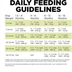Go! Solutions Carnivore Grain-Free Chicken, Turkey + Duck Puppy Recipe Dry Dog Food -Blue Buffalos Shop 162809 PT7. AC SS1800 V1638491220