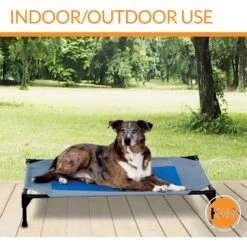 K&H Pet Products Coolin' Pet Cot Elevated Pet Bed -Blue Buffalos Shop 164028 PT4. AC SS1800 V1620847118