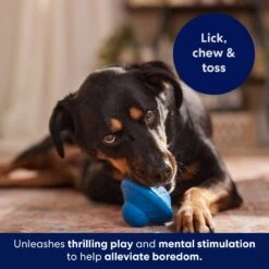 Frisco Flying Saucer Rubber Treat Dispenser Dog Toy -Blue Buffalos Shop 164757 PT5. AC SS1800 V1691784247