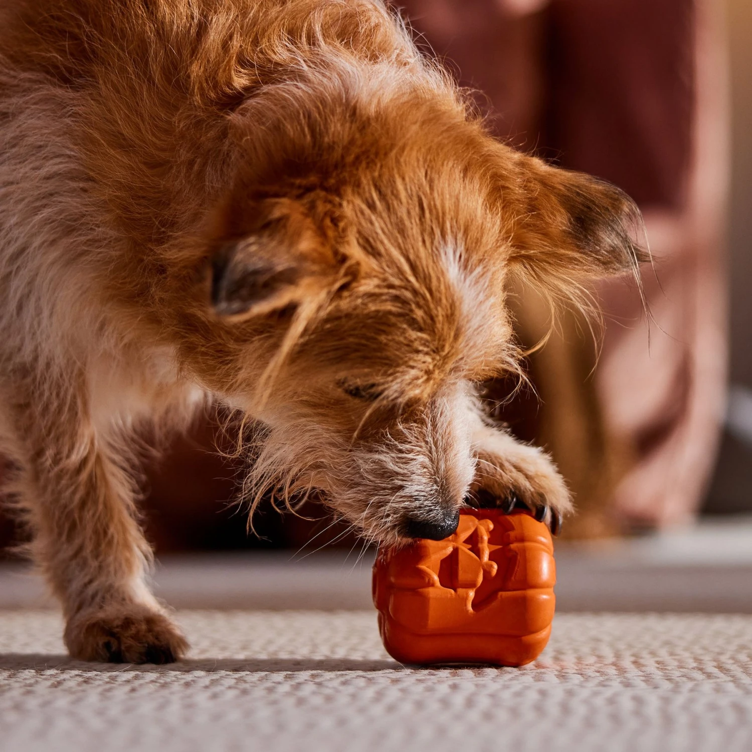 Frisco Halloween Pumpkin Rubber Treat Dispenser Dog Toy, Medium/Large 8 Frisco Halloween Pumpkin Rubber Treat Dispenser Dog Toy, Medium/Large - Image 6