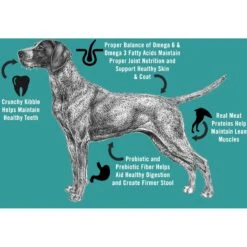 Chicken Soup For The Soul Mature Chicken, Turkey & Brown Rice Recipe Dry Dog Food -Blue Buffalos Shop 165116 PT3. AC SS1800 V1691090337