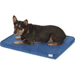 Frisco Quilted Orthopedic Pillow Cat & Dog Bed W/Removable Cover -Blue Buffalos Shop 165196 PT2. AC SS1800 V1568726226