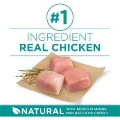 Purina ONE +Plus Adult Digestive Health Formula Dry Dog Food -Blue Buffalos Shop 166138 PT3. AC SS1800 V1683576212