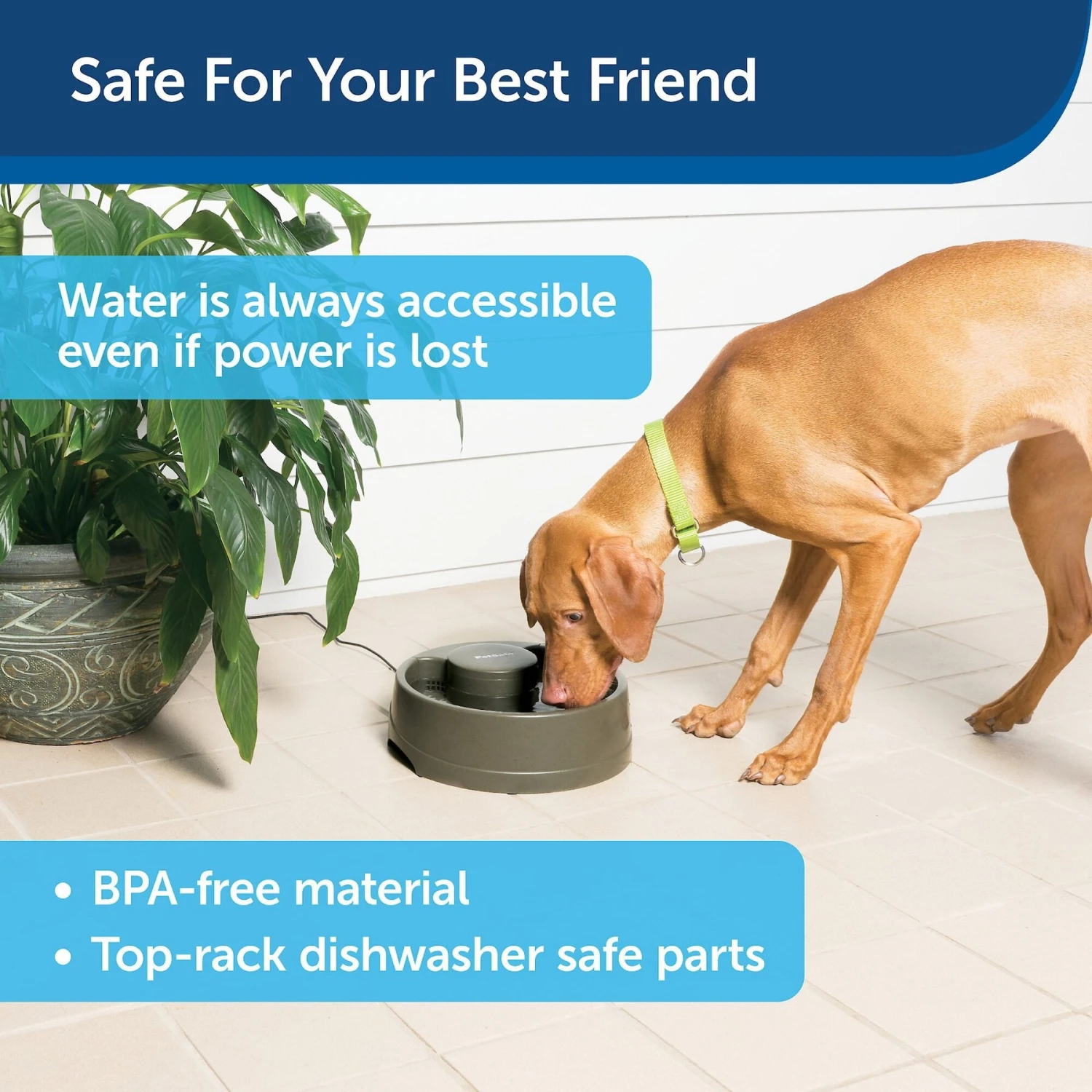 PetSafe Current Circulating Pet Fountain 8 PetSafe Current Circulating Pet Fountain - Image 6