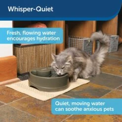 PetSafe Current Circulating Pet Fountain 15 PetSafe Current Circulating Pet Fountain -Blue Buffalos Shop 166258 PT8. AC SS1800 V1598895075