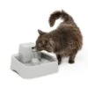 PetSafe Drinkwell Dog & Cat Water Fountain