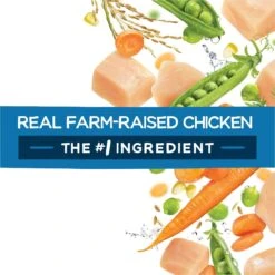 Purina Beneful Healthy Puppy With Farm Raised Chicken High Protein Dry Dog Food -Blue Buffalos Shop 173762 PT6. AC SS1800 V1695736852