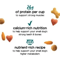 Purina Beneful IncrediBites With Farm-Raised Beef Small Breed Dry Dog Food -Blue Buffalos Shop 173763 PT2. AC SS1800 V1695846582