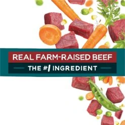 Purina Beneful IncrediBites With Farm-Raised Beef Small Breed Dry Dog Food -Blue Buffalos Shop 173763 PT6. AC SS1800 V1695737456