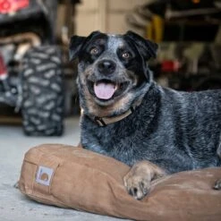 Carhartt Pillow Dog Bed With Removable Cover 11 Carhartt Pillow Dog Bed With Removable Cover -Blue Buffalos Shop 174416 PT4. AC SS1800 V1559224040