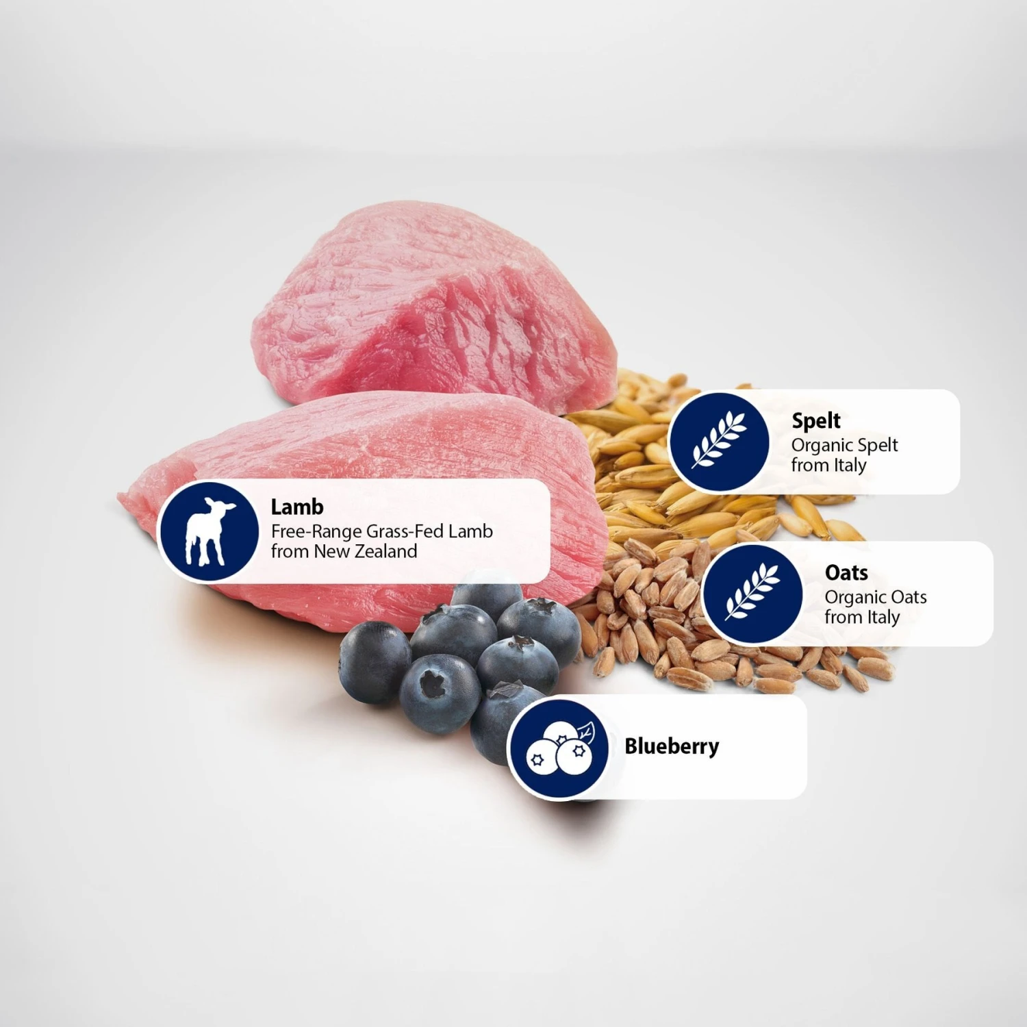 Farmina N&D Ancestral Grain Lamb & Blueberry Medium & Maxi Adult Dry Dog Food 7 Farmina N&D Ancestral Grain Lamb & Blueberry Medium & Maxi Adult Dry Dog Food - Image 5