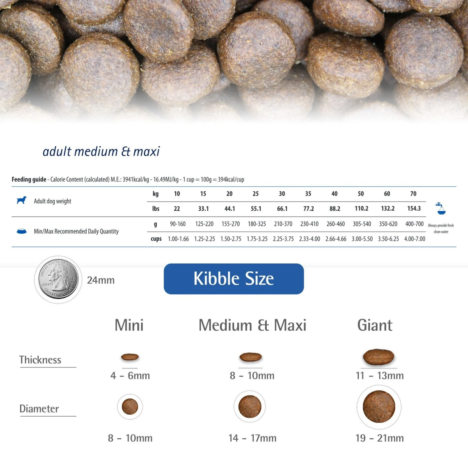 Farmina N&D Ancestral Grain Lamb & Blueberry Medium & Maxi Adult Dry Dog Food 8 Farmina N&D Ancestral Grain Lamb & Blueberry Medium & Maxi Adult Dry Dog Food - Image 6