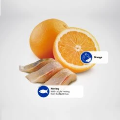 Farmina Natural & Delicious Wild Herring Grain-Free Mini Breed Formula Dry Dog Food -Blue Buffalos Shop 175544 PT4. AC SS1800 V1591128114