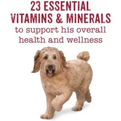 Purina Beneful Incredibites & Medleys Variety Pack Wet Dog Food -Blue Buffalos Shop 176565 PT7. AC SS1800 V1700159061