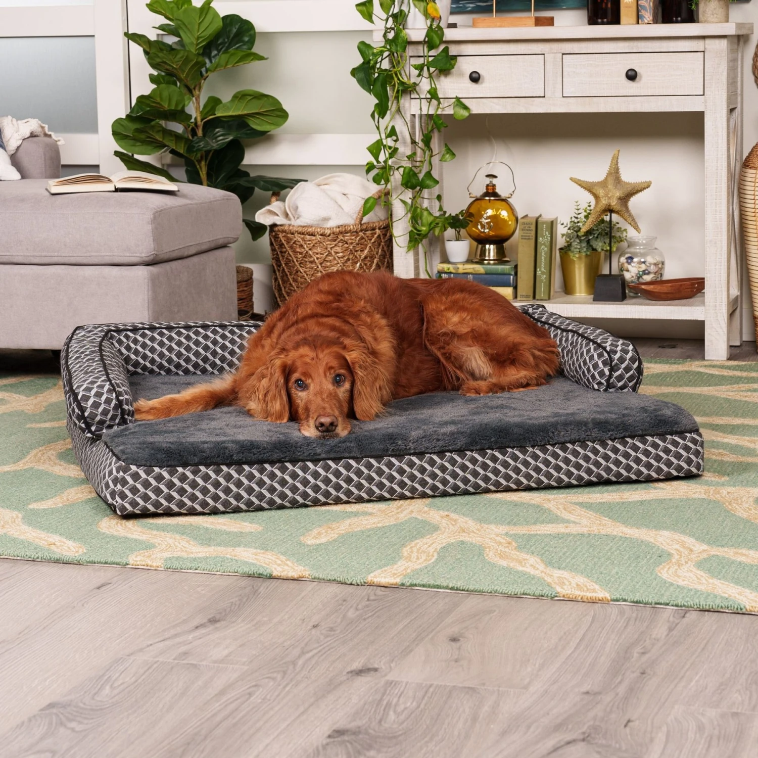 FurHaven Comfy Couch Memory Top Cat & Dog Bed With Removable Cover 3 FurHaven Comfy Couch Memory Top Cat & Dog Bed With Removable Cover