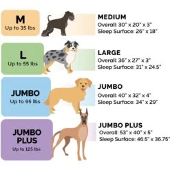 FurHaven Comfy Couch Memory Top Cat & Dog Bed With Removable Cover 12 FurHaven Comfy Couch Memory Top Cat & Dog Bed With Removable Cover -Blue Buffalos Shop 178816 PT1. AC SS1800 V1701882379