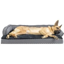 FurHaven Comfy Couch Memory Top Cat & Dog Bed With Removable Cover 14 FurHaven Comfy Couch Memory Top Cat & Dog Bed With Removable Cover -Blue Buffalos Shop 178816 PT3. AC SS1800 V1701882199