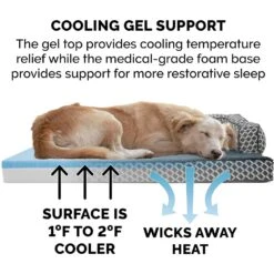 FurHaven Comfy Couch Cooling Gel Cat & Dog Bed With Removable Cover -Blue Buffalos Shop 178854 PT6. AC SS1800 V1613087812