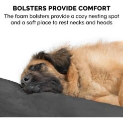 FurHaven Luxury Edition Orthopedic Bolster Cat & Dog Bed With Removable Cover 17 FurHaven Luxury Edition Orthopedic Bolster Cat & Dog Bed With Removable Cover -Blue Buffalos Shop 178891 PT6. AC SS1800 V1597089972