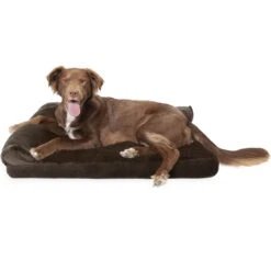 FurHaven Plush Deluxe Chaise Cooling Gel Cat & Dog Bed With Removable Cover -Blue Buffalos Shop 178937 PT3. AC SS1800 V1703798762