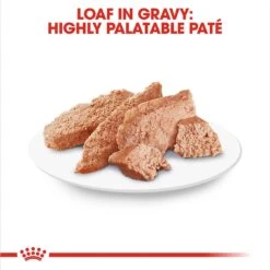 Royal Canin Breed Health Nutrition Chihuahua Loaf In Gravy Pouch Dog Food -Blue Buffalos Shop 181590 PT2. AC SS1800 V1697212855