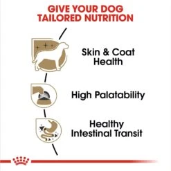 Royal Canin Breed Health Nutrition Chihuahua Loaf In Gravy Pouch Dog Food -Blue Buffalos Shop 181590 PT3. AC SS1800 V1697212367