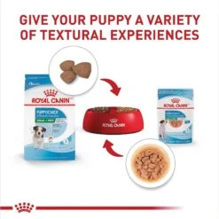 Royal Canin Size Health Nutrition Small Puppy Chunks In Gravy Dog Food Pouch -Blue Buffalos Shop 181592 PT5. AC SS1800 V1697213407