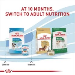 Royal Canin Size Health Nutrition Small Puppy Chunks In Gravy Dog Food Pouch -Blue Buffalos Shop 181592 PT6. AC SS1800 V1697213152