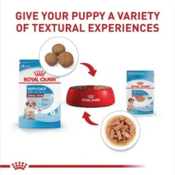 Royal Canin Size Health Nutrition Medium Puppy Chunks In Gravy Dog Food Pouch, 4.9-oz, Case Of 10 14 Royal Canin Size Health Nutrition Medium Puppy Chunks In Gravy Dog Food Pouch, 4.9-oz, Case Of 10 -Blue Buffalos Shop 181594 PT6. AC SS1800 V1697216146