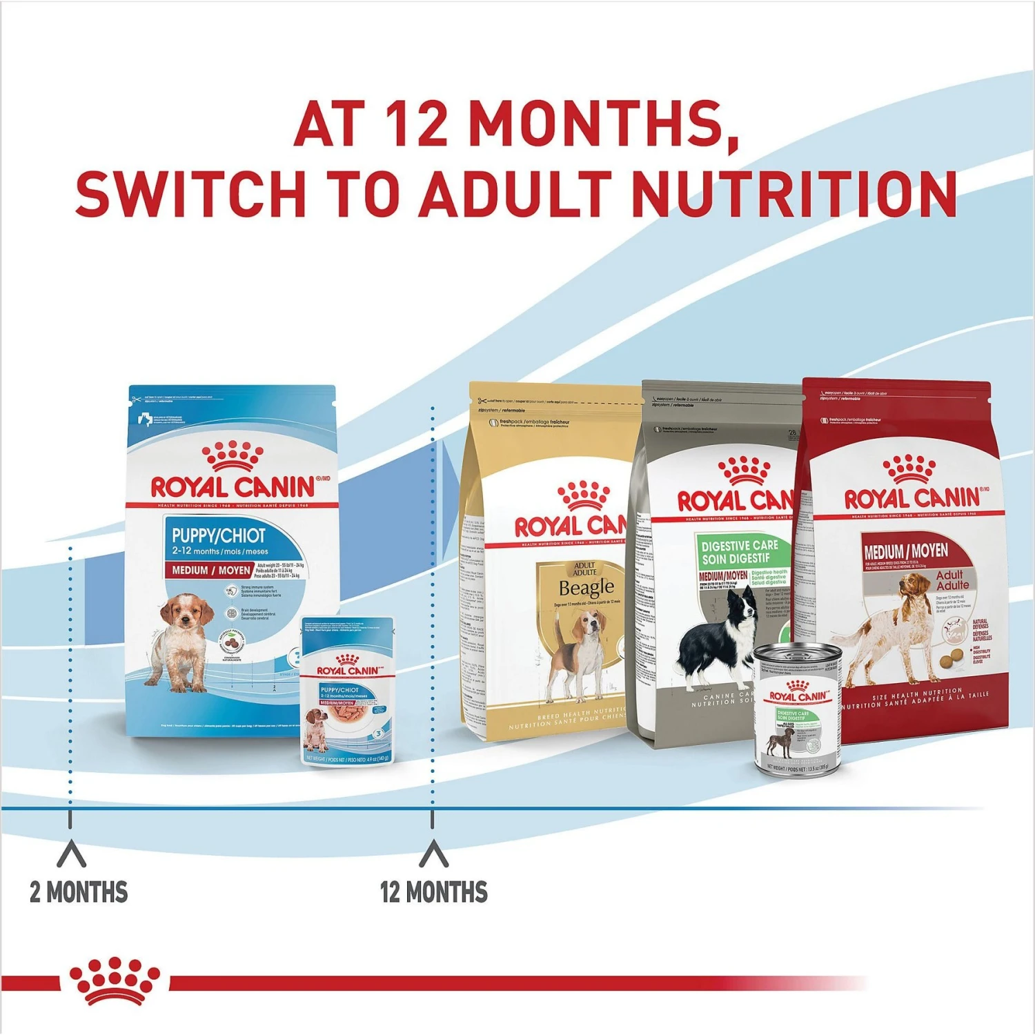 Royal Canin Size Health Nutrition Medium Puppy Chunks In Gravy Dog Food Pouch, 4.9-oz, Case Of 10 9 Royal Canin Size Health Nutrition Medium Puppy Chunks In Gravy Dog Food Pouch, 4.9-oz, Case Of 10 - Image 7