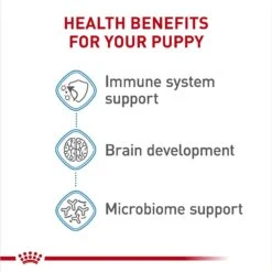 Royal Canin Size Health Nutrition Large Puppy Chunks In Gravy Dog Food Pouch, 4.9-oz, Case Of 10 11 Royal Canin Size Health Nutrition Large Puppy Chunks In Gravy Dog Food Pouch, 4.9-oz, Case Of 10 -Blue Buffalos Shop 181596 PT4. AC SS1800 V1697212792