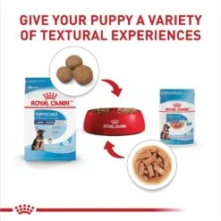 Royal Canin Size Health Nutrition Large Puppy Chunks In Gravy Dog Food Pouch, 4.9-oz, Case Of 10 12 Royal Canin Size Health Nutrition Large Puppy Chunks In Gravy Dog Food Pouch, 4.9-oz, Case Of 10 -Blue Buffalos Shop 181596 PT5. AC SS1800 V1697213773