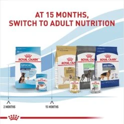 Royal Canin Size Health Nutrition Large Puppy Chunks In Gravy Dog Food Pouch, 4.9-oz, Case Of 10 13 Royal Canin Size Health Nutrition Large Puppy Chunks In Gravy Dog Food Pouch, 4.9-oz, Case Of 10 -Blue Buffalos Shop 181596 PT6. AC SS1800 V1697213712