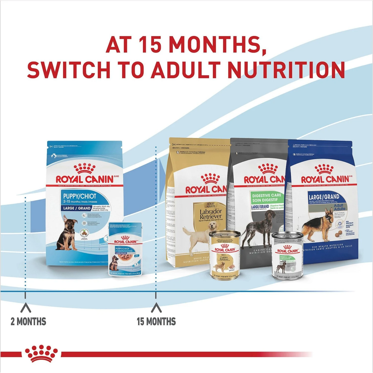 Royal Canin Size Health Nutrition Large Puppy Chunks In Gravy Dog Food Pouch, 4.9-oz, Case Of 10 7 Royal Canin Size Health Nutrition Large Puppy Chunks In Gravy Dog Food Pouch, 4.9-oz, Case Of 10 - Image 6