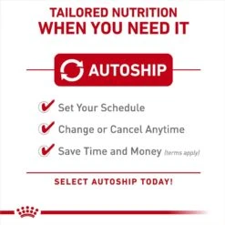 Royal Canin Size Health Nutrition Small Adult Chunks In Gravy Dog Food Pouch -Blue Buffalos Shop 181598 PT4. AC SS1800 V1696533202