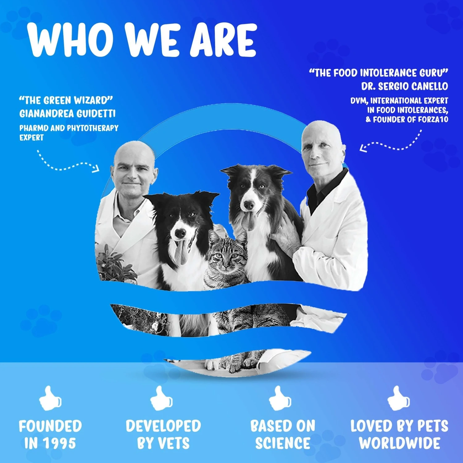 Forza10 Nutraceutic Active Line Colon Diet Phase 1 Dry Dog Food 6 Forza10 Nutraceutic Active Line Colon Diet Phase 1 Dry Dog Food - Image 4