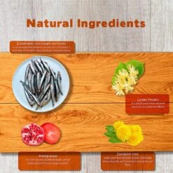 Forza10 Nutraceutic Legend All Life Medium & Large Breed Grain-Free Wild Caught Anchovy Dry Dog Food -Blue Buffalos Shop 183226 PT5. AC SS1800 V1566504459