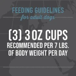 Tiki Dog Taste Of Greece Lamb, Couscous & Chickpea Recipe In Broth Wet Dog Food, 3-oz Cup, Case Of 4 18 Tiki Dog Taste Of Greece Lamb, Couscous & Chickpea Recipe In Broth Wet Dog Food, 3-oz Cup, Case Of 4 -Blue Buffalos Shop 186331 PT7. AC SS1800 V1631196412