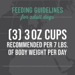 Tiki Dog Taste Of Italy Chicken, Pasta & Carbonara Recipe In Broth Wet Dog Food, 3-oz Cup, Case Of 4 -Blue Buffalos Shop 186333 PT7. AC SS1800 V1631198818