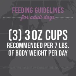 Tiki Dog Taste Of France Beef, Potatoes & Burgundy Recipe In Broth Grain-Free Wet Dog Food, 3-oz Cup, Case Of 4 -Blue Buffalos Shop 186335 PT7. AC SS1800 V1631199149