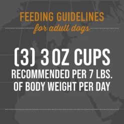 Tiki Dog Taste Of Spain Chicken & Shrimp Paella Recipe In Broth Gluten-Free Wet Dog Food, 3-oz Cup, Case Of 4 -Blue Buffalos Shop 186337 PT7. AC SS1800 V1631199409