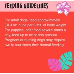 Tiki Dog Meaty High Protein Diet Chicken With Beef Recipe In Broth Grain-Free Wet Dog Food, 3-oz Cup, Case Of 4 -Blue Buffalos Shop 186351 PT6. AC SS1800 V1565099586